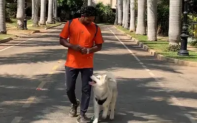 Basic Obedience