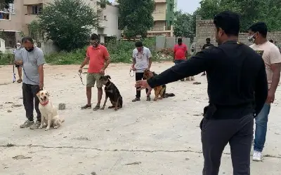 Group Training