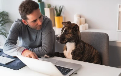Online Virtual Training